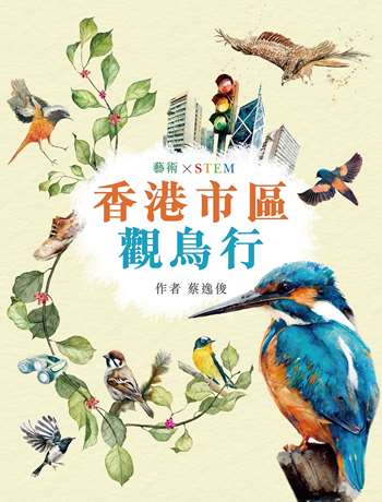 藝術 X STEM：香港市區觀鳥行